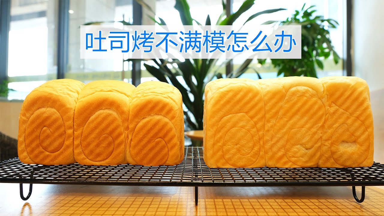 你烤的吐司为什么总是不满模？学会这些技巧，新手也能轻松成功