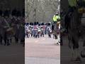 Band of the Irish Guards#london #parade #irishband #tradition #history