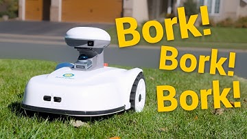 The Swedes are Here to Conquer Your Lawn