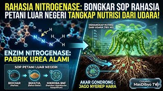 ENZIM NITROGENASE: Bongkar SOP Rahasia Petani Luar Negeri Tangkap Nitrogen Dari Udara