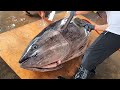 World&#39;s Sharpest Tuna Knife！Superb 300KG Bluefin Tuna cutting skill /最鋒利的刀切割黑鮪魚豪華生魚片