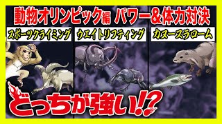 【どっちが強い】動物たちの熱き戦いが始まる！スポーツクライミング！ウエイトリフティング！カヌースラローム！もしも動物だけでオリンピックを開催したらどうなる!?