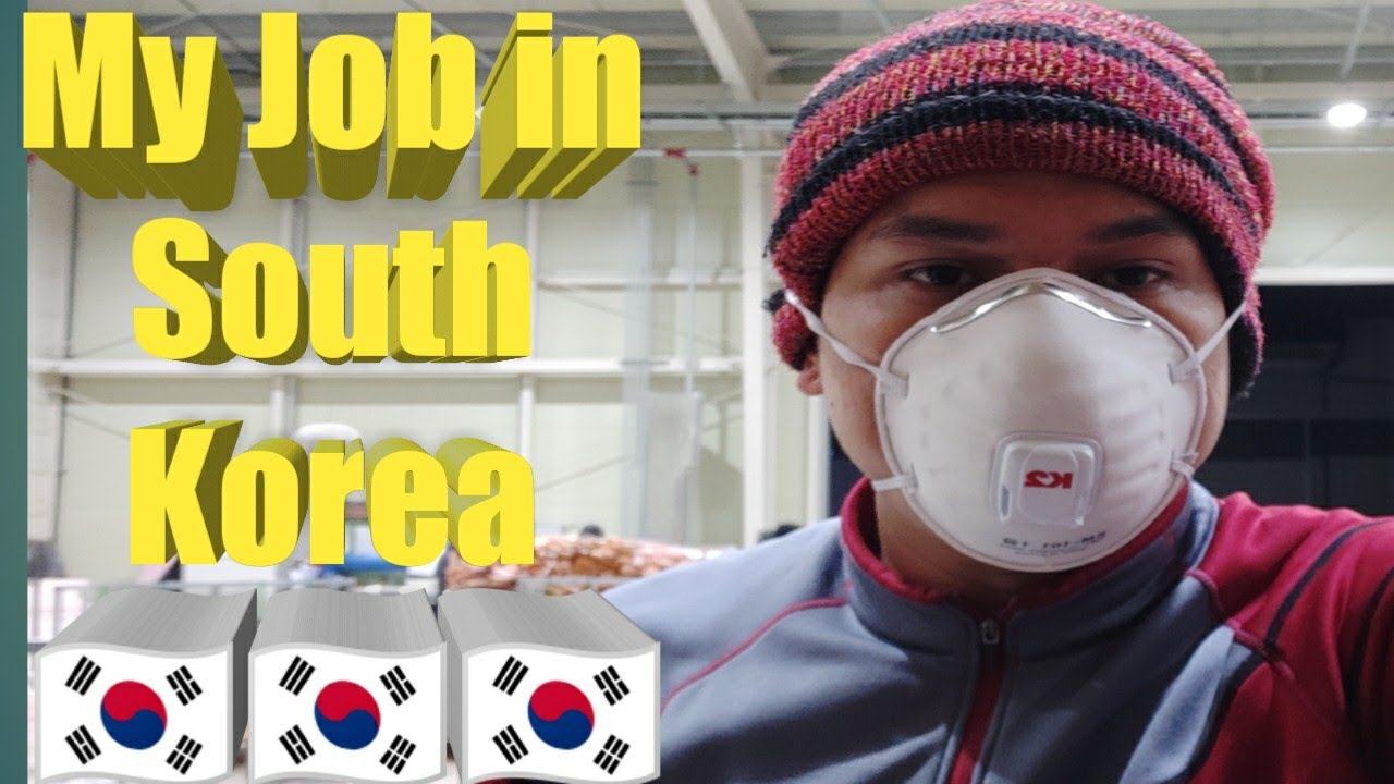 My Job in South Korea 🇰🇷🇰🇷🇰🇷🇰🇷🇰🇷🇰🇷🇰🇷🇰🇷🇰🇷 - YouTube