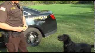 2012-09-27 News Watch Video - New Coles County K9 Officer