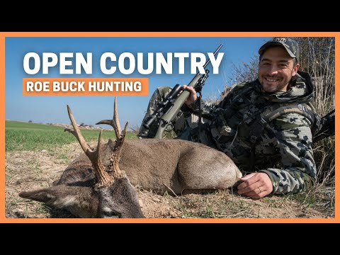 ROE BUCK HUNTING IN OPEN COUNTRY / CAZA DE CORZO EN LOS PARAMOS DE CASTILLA