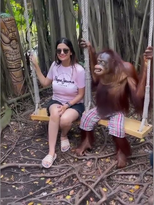 Gorilla kissing with girl  || #_gorilla #_monkey #_short #_funny