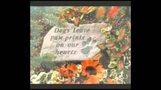 Pet Memorial Stones