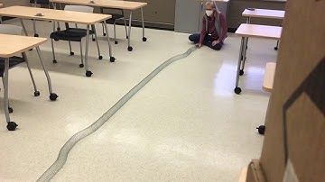 Destructive interference with a slinky