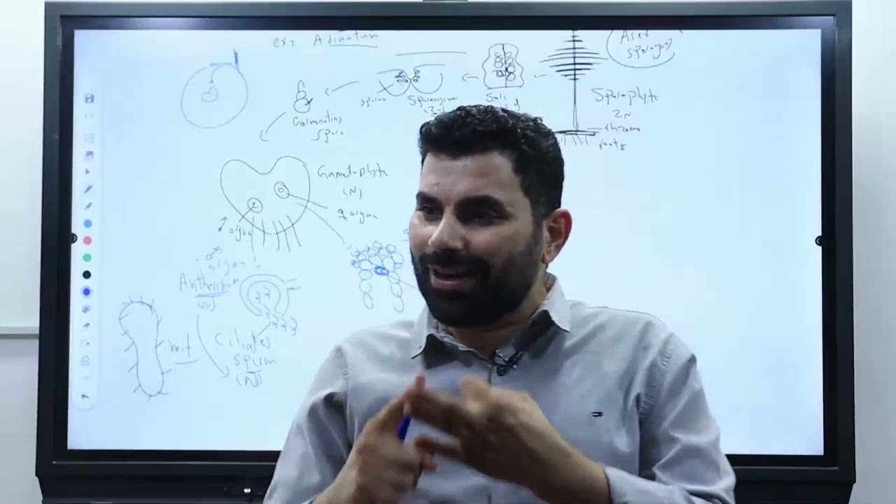 3rd - exp - ch 3 - lesson 2 - alternation of generation (fern plants)