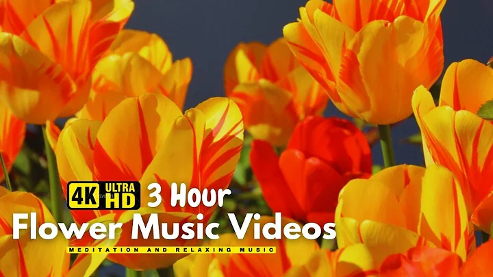 Beautiful Flowers ~ Planet Earth Amazing Nature Scenery & The Best Relax Music • 3 HOURS