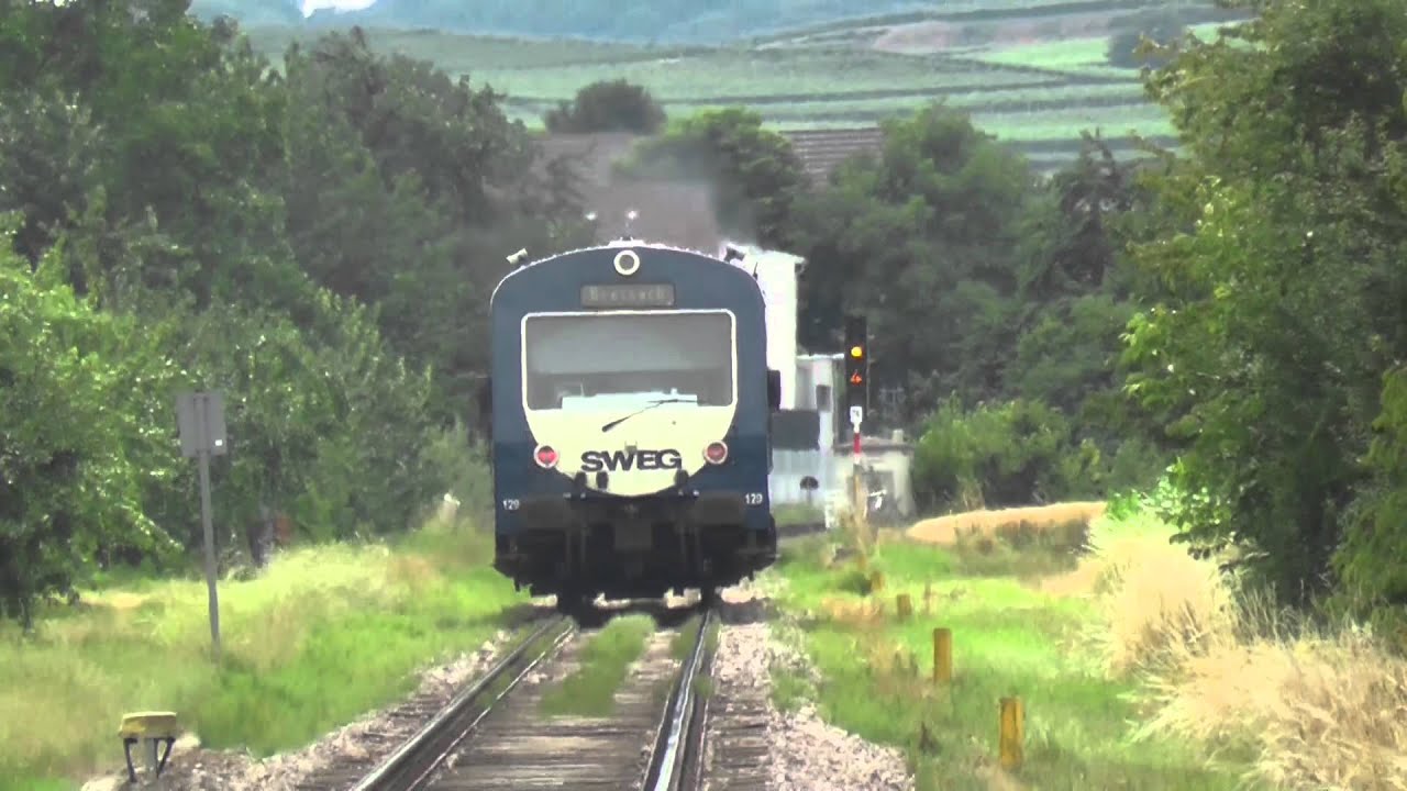 NE 81 Triebwagen auf der Kaiserstuhlbahn 2015