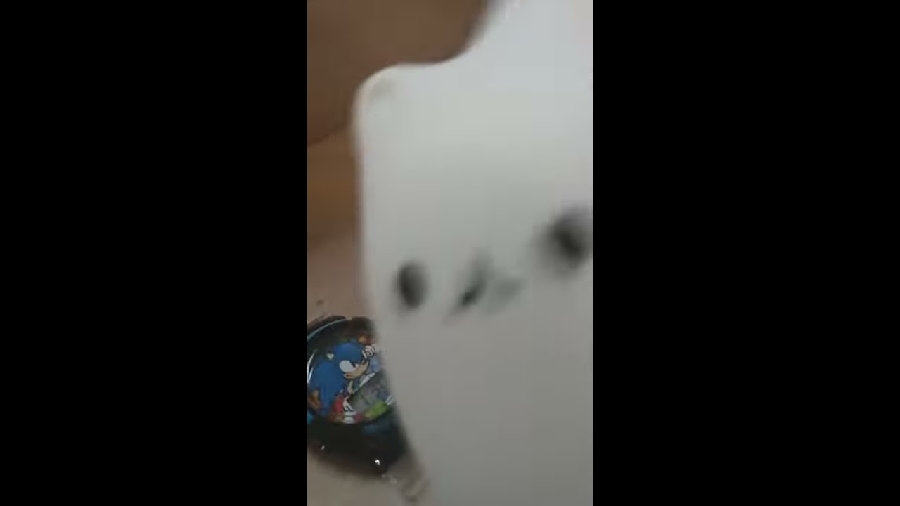 EggCat Checks The Hour