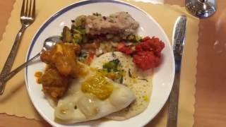 Jai Ho Indian Restaurant Review Tampa Florida