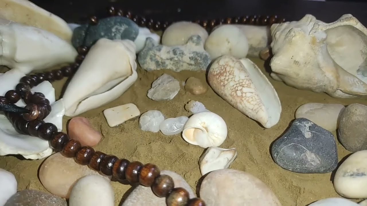 برج القوس ♐ انسحاب من علاقة مؤذية فورا ونص على خصم حبيب يحاول مجددا #القارئه_ام_احمد