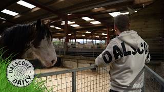 Moving Our Clydesdale Horse!