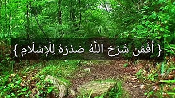 سورة الزمر الآية 22 / فهد آلبلوشي