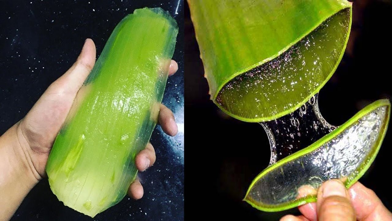 Cuanto tiempo se toma la sabila para la gastritis