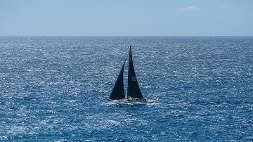 Eagle 38 single-handed sailing tips. Leonardo Yachts