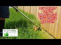 Thickest buffalo grass ever! Satisfying clean up