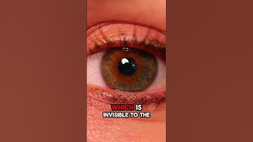 Why Can’t You See the Light on TV Remotes? 📺🔴 #everydayfacts