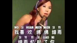 Huang Jia Jia 黃佳佳 Lei Di Xiao Yu 淚的小雨.flv