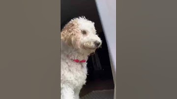 How long does it take for ice to melt in 100° weather?