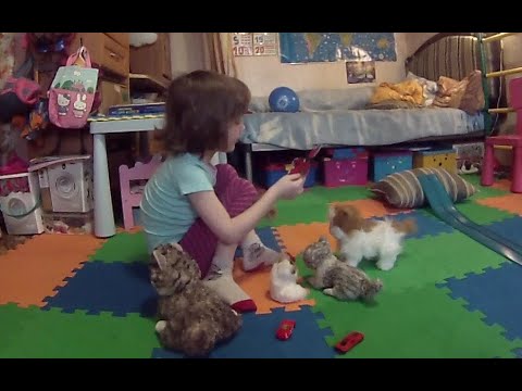 Играем в машинки,