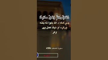 قرآن کریم پښتو ترجمه سورة فصلت آیات 33