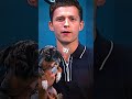 Tom Holland REVEALS Cute Spider-Dogs! #shorts