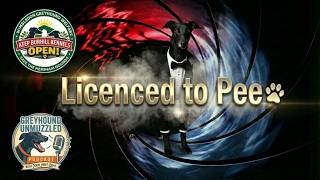 Greyhound Unmuzzled Episode 34 - Licensed to Pee