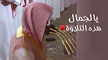 ما أحسنها من تلاوة..! | ليلة مميزة من سورتي الأنفال والتوبة للشيخ د. محمد برهجي | ليلة 13-9-1445هـ