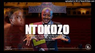 Kabza De Small, Dj Maphorisa, Djstokie ft MaWhoo, AmiFakhu & NkosazanaDaughter - 'Ntokozo' typebeat