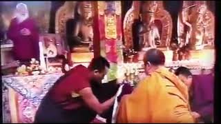 His Holiness Kyabjé Drubwang Padma Norbu Rinpoche And Kyabje Jatral Sangye Dorje Rinpoche In Namdrol