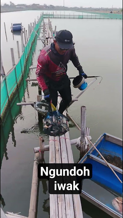 Fishing Mania Awesome...
