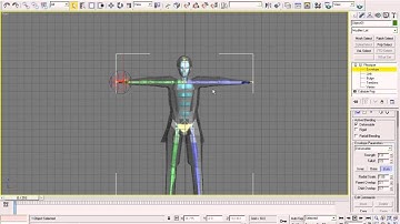 rigging with biped and physique in 3ds max