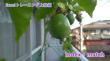 Excelトレーニング上級編 - Index・Match