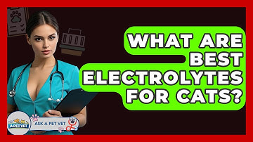 What Are Best Electrolytes For Cats? - Ask A Pet Vet