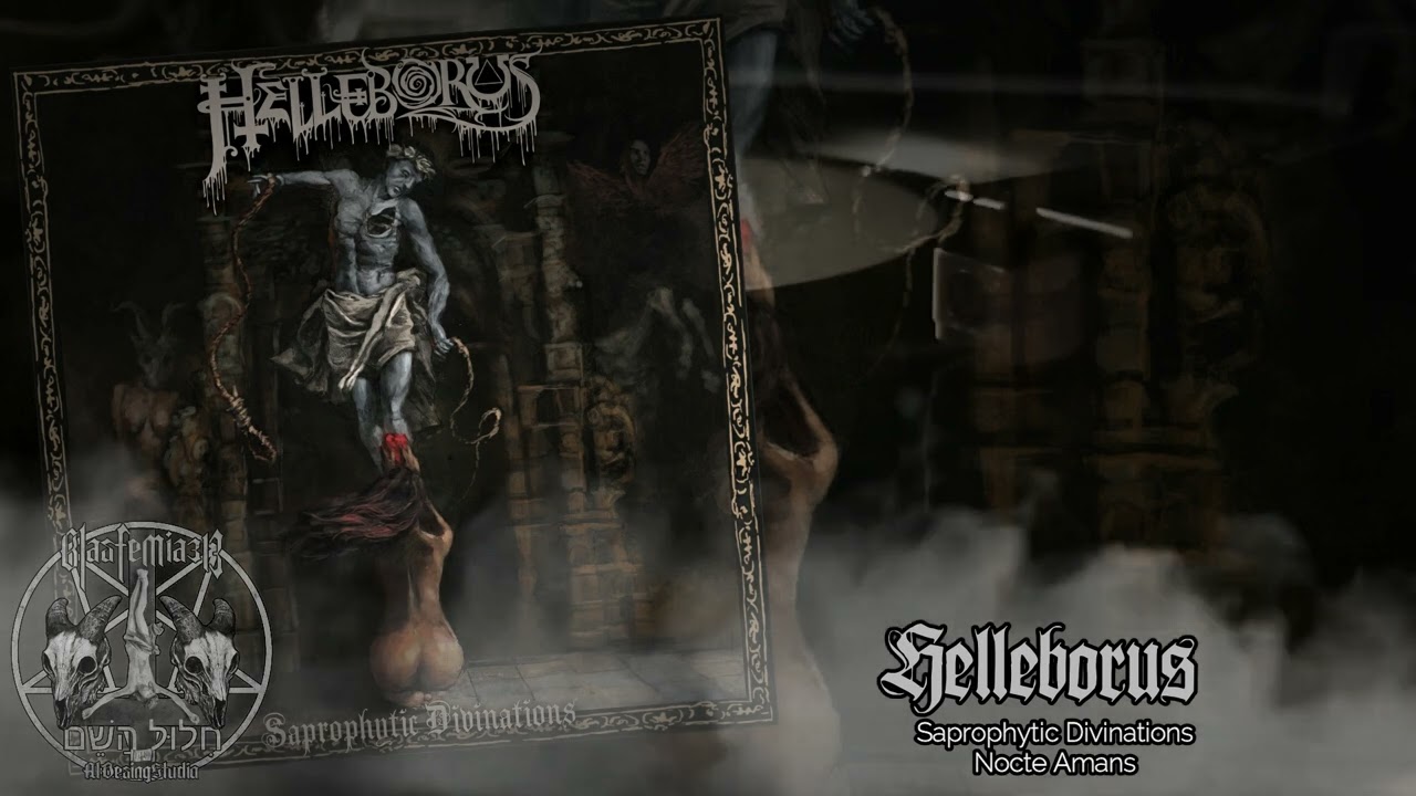 Helleborus (2019 Saprophytic Divinations) 