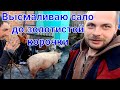 ВЫСМАЛИВАЮ САЛО ДО ЗОЛОТИСТОЙ КОРОЧКИ / ЗАБОЙ СВИНЕЙ