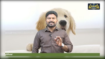 Class 9 | English | Supplementary - The Envious Neighbour | Unit 1 | KalviTv