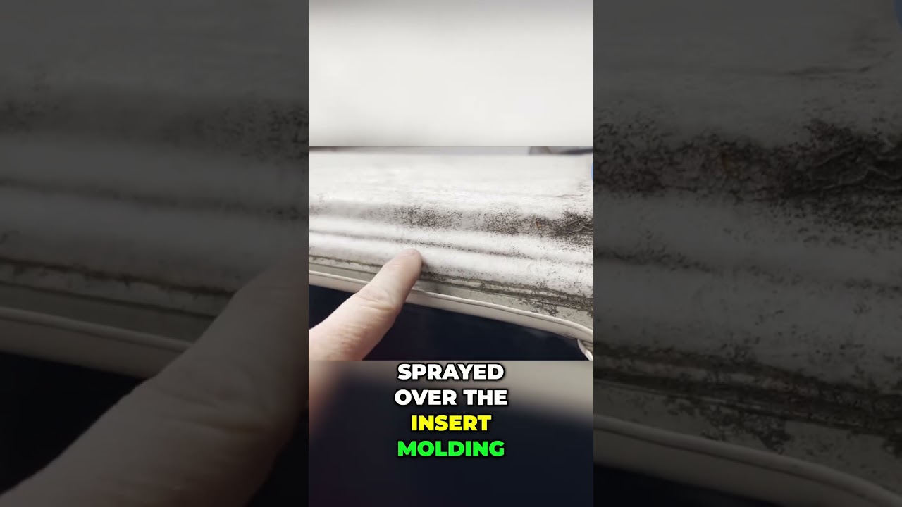 Mold and Dirt Accumulation on Flex Armor Roof 