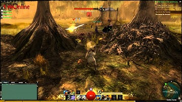 Guild Wars 2 Beta, Assorted clips from playing on Linux