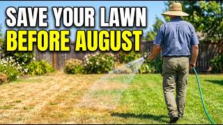 Save Your Lawn Before August — 5 Things To Do Now