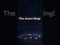 The Acorn King! | #bramblethemountainking #gaming