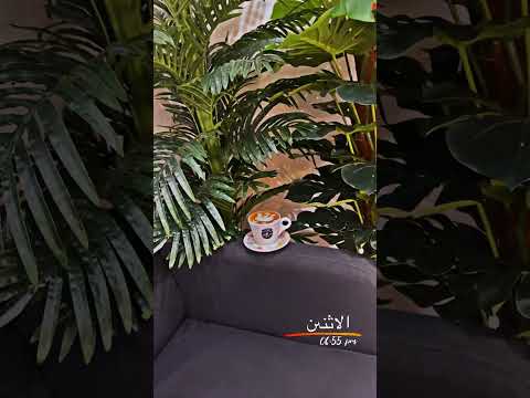 قولوا لها إنني مازلت اهوها