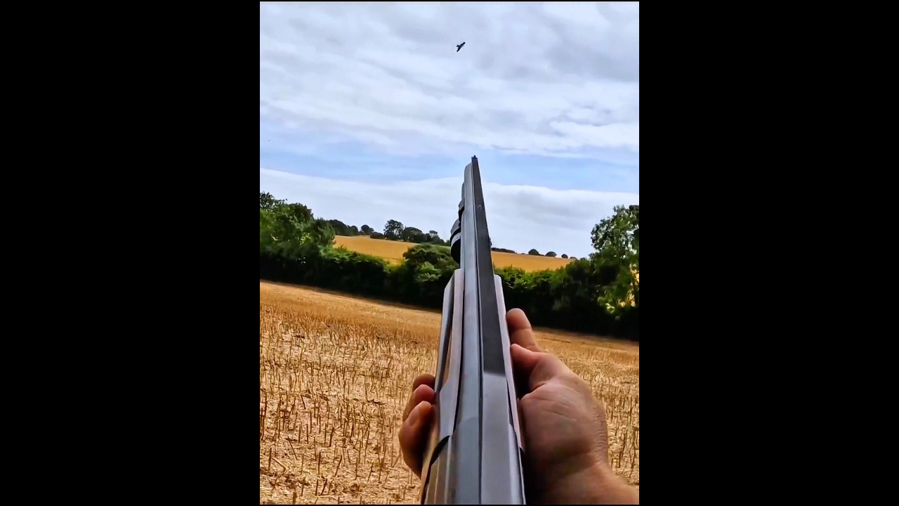 1 пуля, 1 ворона | охота