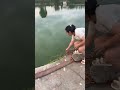 My Family Agrees There Are Endless Fish To Eat The Joy Of Catching Fish Short Vidiyos My Family Agrees There Are Endless Fish To Eat The Joy Of Catching Fish Short Vidiyos