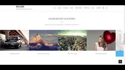 Richer   Responsive Multi Purpose Theme +Download Link