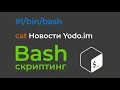 Новый Bash курс | Новости Yodo.im