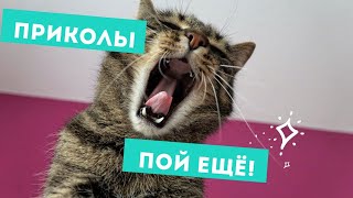 Приколы 😉 "Пой, ещё!" - Смех до Слез 😄 Борис Шварцман